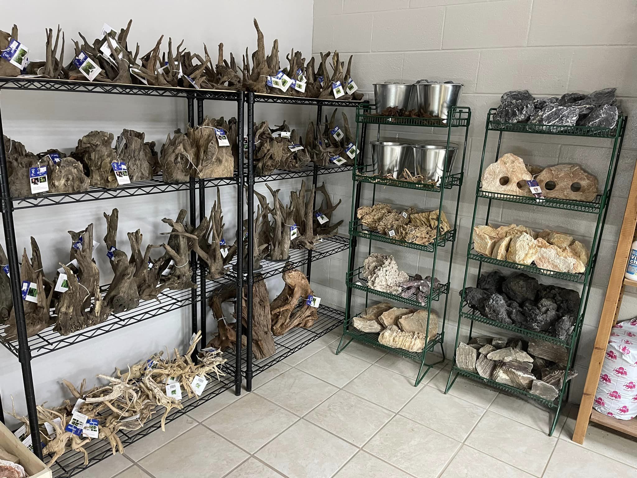 racks in something fishy with rock and spider wood